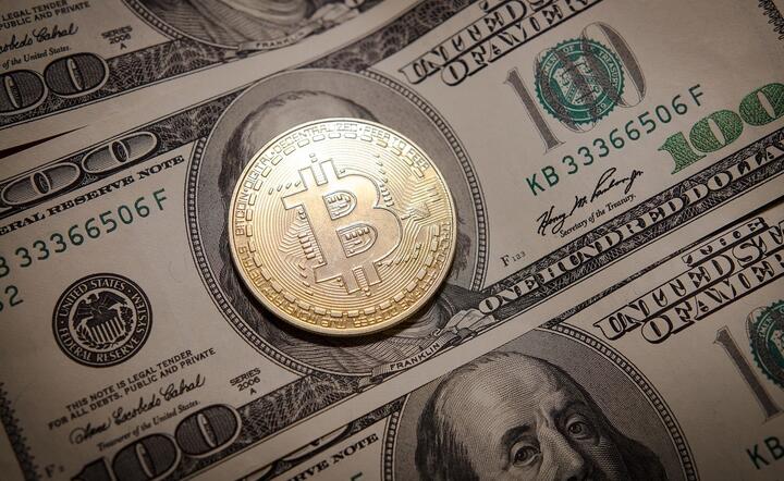 Halving bitcoina. Kurs przebije 100 tys. dolarów?