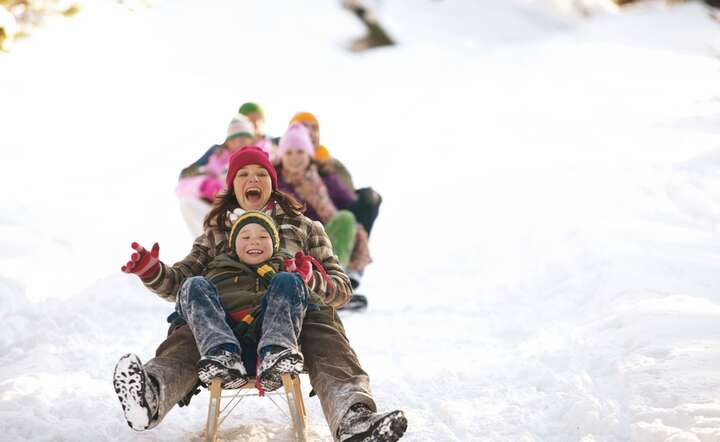 Tegoroczny boom na sanki przerósł najśmielsze oczekiwania / autor: materiały prasowe OLX