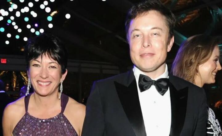 Elon Musk / autor: Brian is festively tired/Twitter