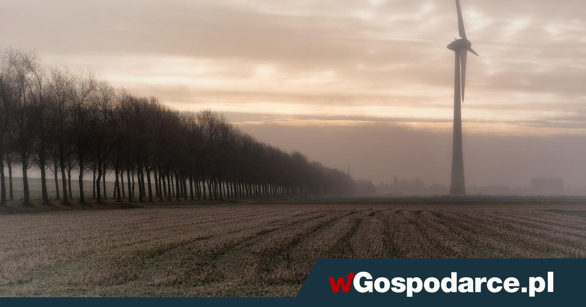 Dlaczego OZE zimą tracą moc