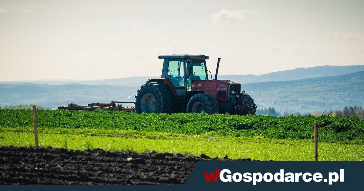 Coraz więcej niewypłacalnych firm na Podkarpaciu