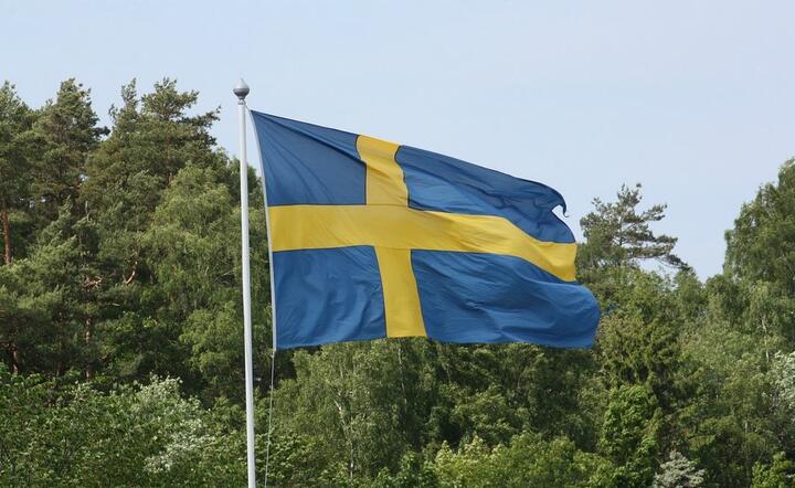 Flaga Szwecji / autor: Pixabay