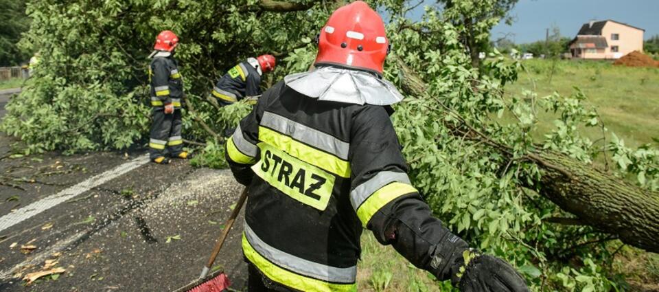 autor: fot.PAP/Wojciech Pacewicz