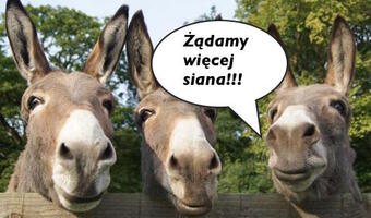 Nie czas żałować rur, gdy płoną kopalnie