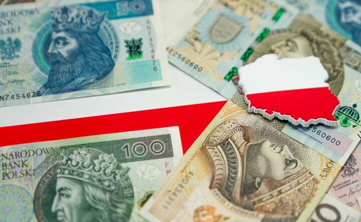 Wybór produktów „made in Poland” realnym wsparciem