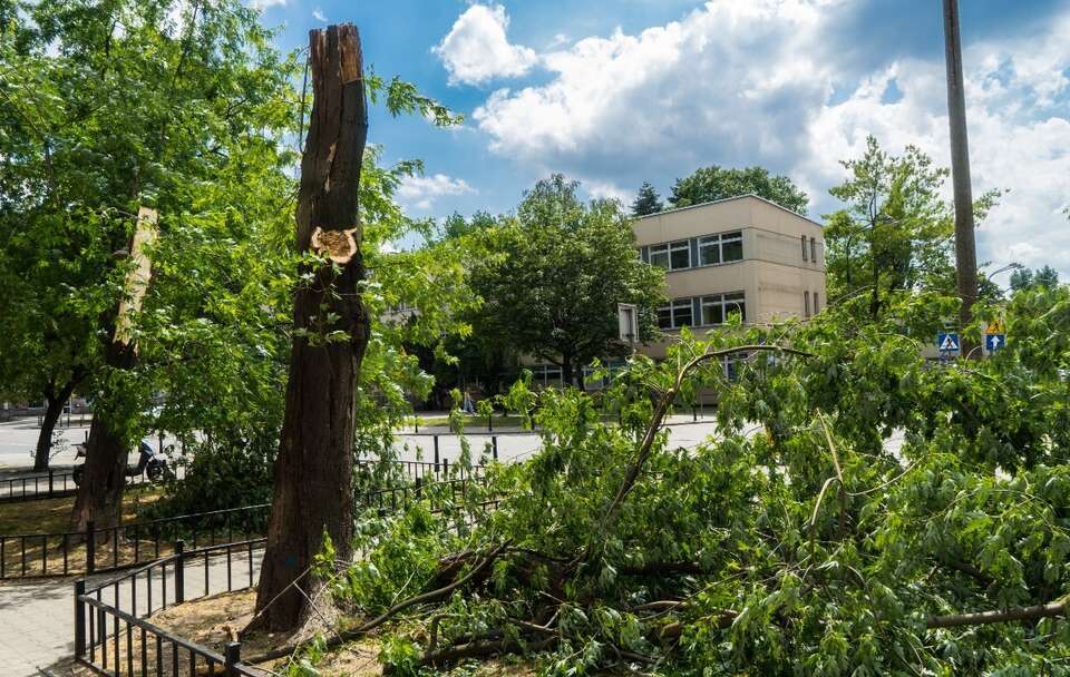 Zalane podwórka, piwnice i drogi. 200 interwencji strażaków