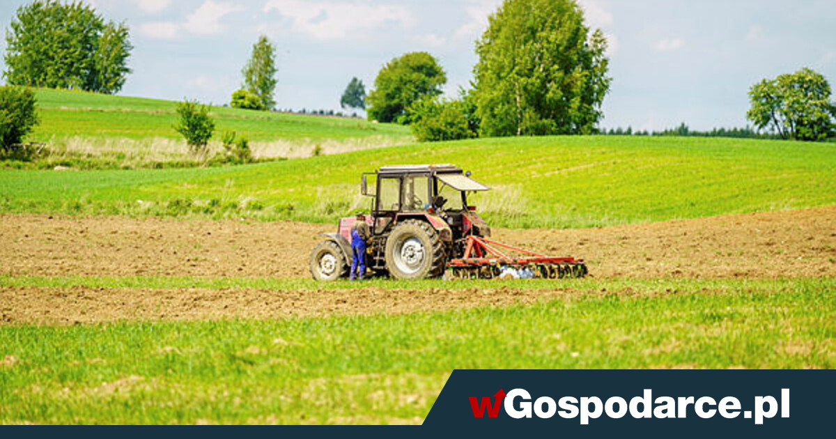 Miliony dla rolników. Pakiet pomocowy, znamy kwoty