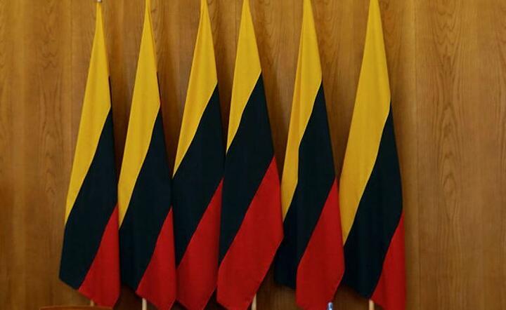 Flagi Litwy / autor: Fratria
