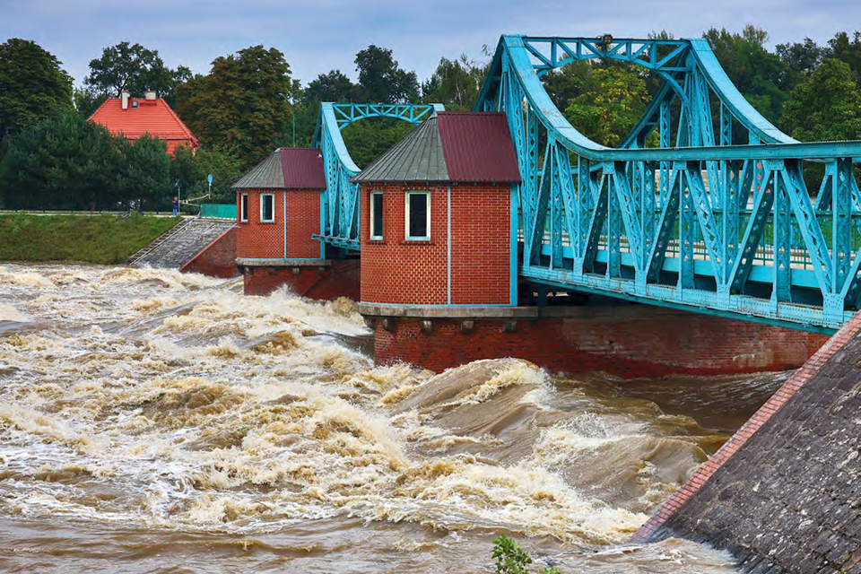 autor: screen, tygodnik "Sieci"