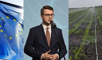 Rząd nie zaskarży Mercosur! „Kapitulacja przed Brukselą"