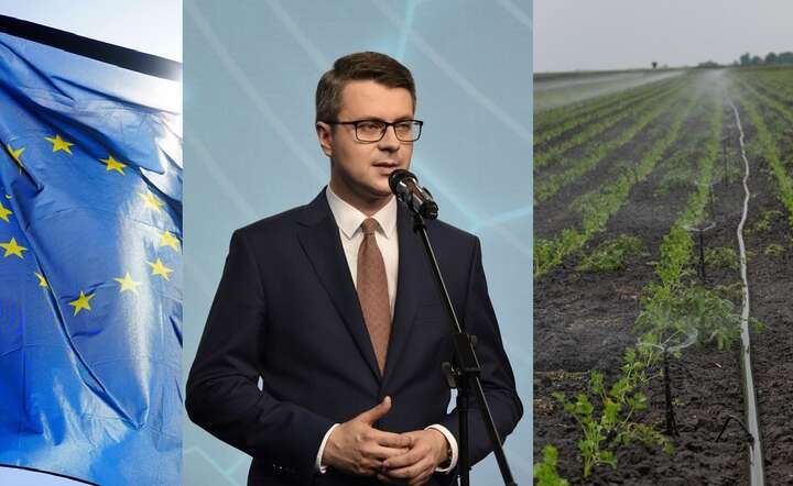 Europoseł Piotra Müllera: rząd nie wniesie własnej skargi do TSUE / autor: Fratria / Andrzej Wiktor / Pixabay x 2