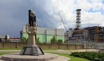 61 proc. Polaków chce elektrowni jądrowej