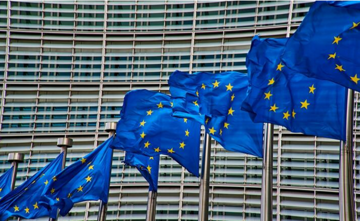flagi UE / autor: Pixabay