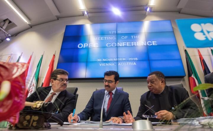 Obrady 171. Konferencji OPEC w Wiedniu, fot. PAP/EPA/CHRISTIAN BRUNA