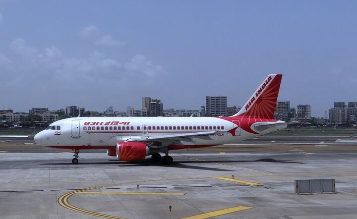 Narodowe linie lotnicze Air India są znacznym obciążeniem państwowego budżetu / autor: Pixabay
