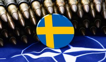 Co wniesie Szwecja do NATO?