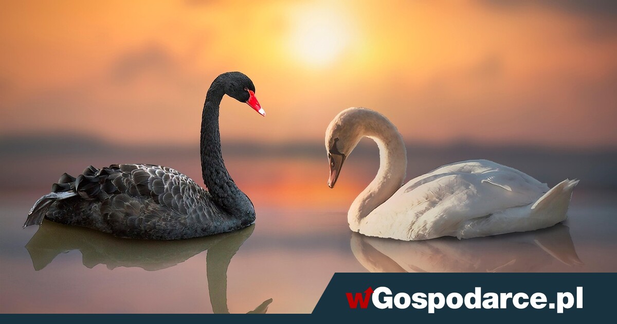 Skąd nadejdą „czarne łabędzie”, które wywrócą światowy ład?