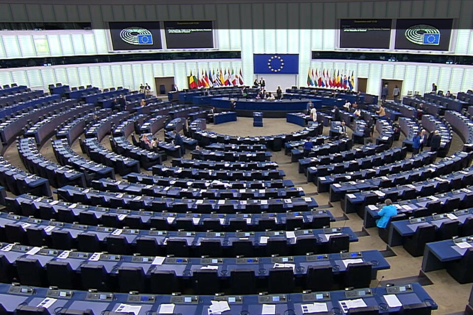 NASZA RELACJA. Opozycja ramię w ramię z Reyndersem / autor: screenshot https://www.europarl.europa.eu/