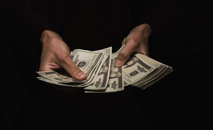 Firmy zarejestrowane w USA działały w Polsce jako piramidy finansowe / autor: Pixabay