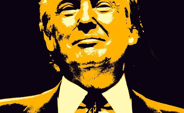 Donald Trump / autor: pixabay.com