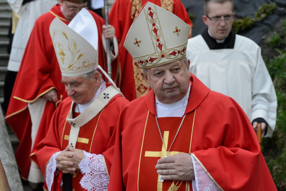 fot. PAP/Jakub Kaczmarczyk