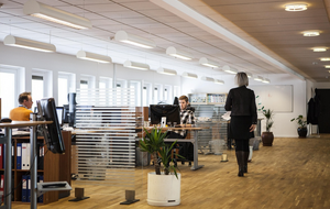 Zatrudnienie w sektorze przedsiębiorstw zmalało w styczniu o blisko 10 tys. etatów (zdjęcie ilustracyjne) / autor: Pixabay/louisehoffmann83