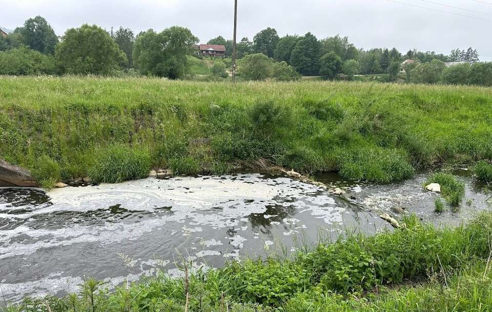 Śnięte ryby w rzece Stobnica w Lutczy / autor: KSRG OSP Lutcza