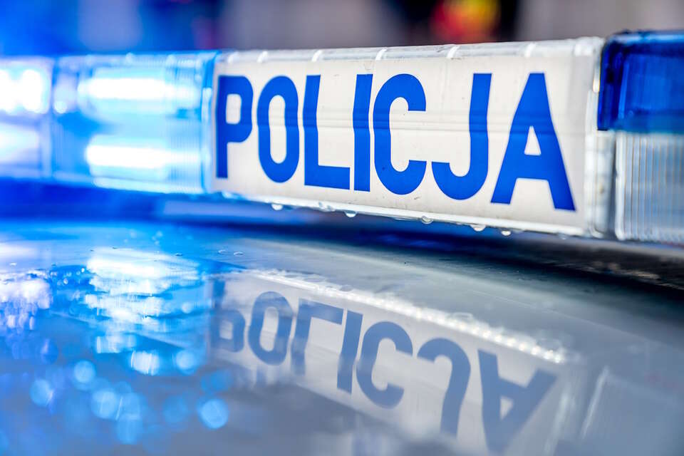 Policja / autor: Fratria