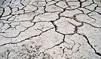 Raport o suszy: największy deficyt wody na Lubelszczyźnie