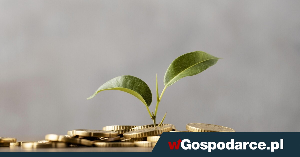 Remedium na korporacyjny porządek świata i zanik realnych więzi międzyludzkich