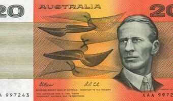 Surowcowe trio walutowe w opałach