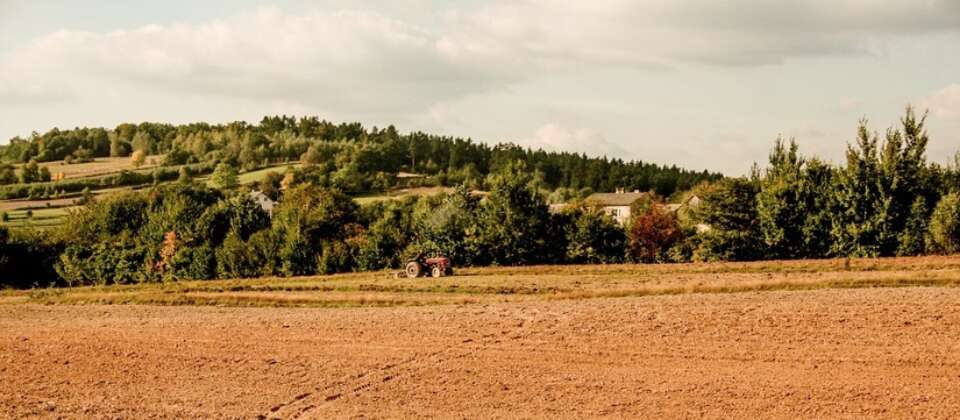 zdjęcie ilustracyjne  / autor: pixabay.com