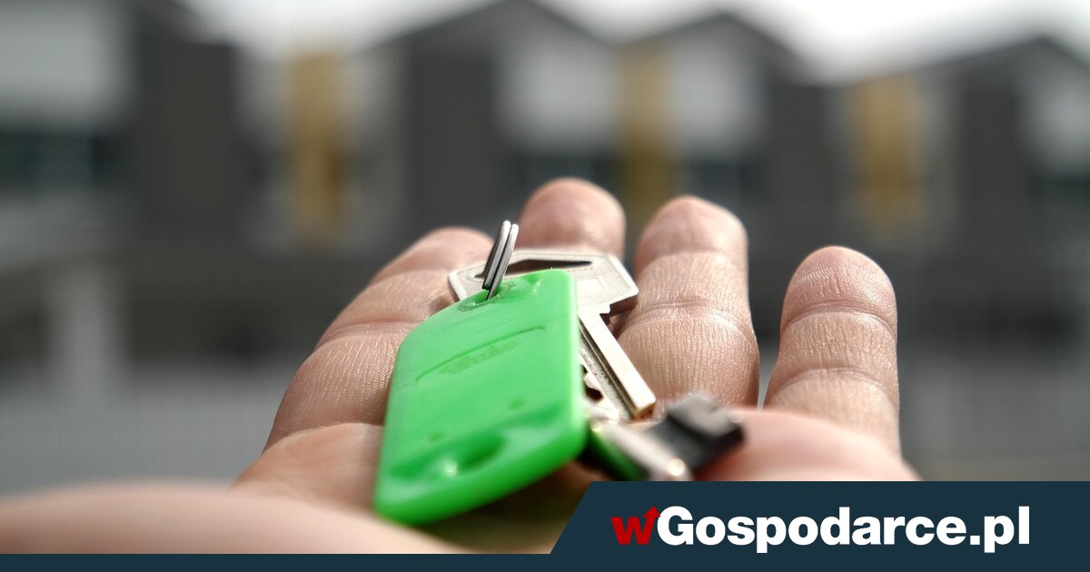 Popyt na rynku najmu wzrósł o 40 proc.!