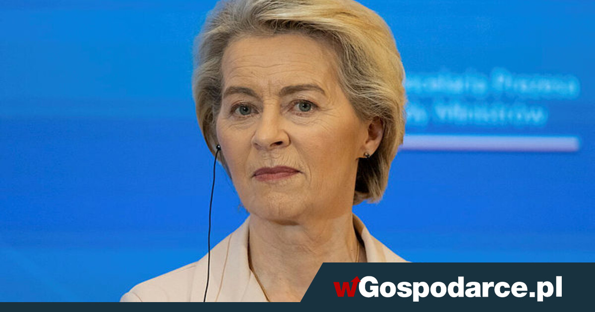 "Niemcy liczą, iż Mercosur pozwoli im zwiększyć sprzedaż aut w Brazylii". Nic z tego