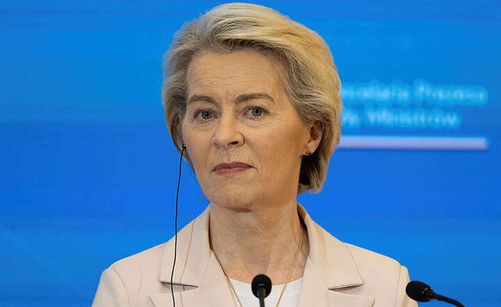 "Niemcy liczą, iż Mercosur pozwoli im zwiększyć sprzedaż aut w Brazylii". Nic z tego