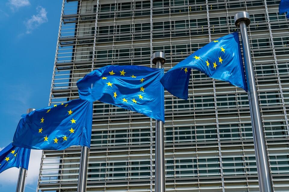 Flagi UE (zdj. ilustracyjne) / autor: Fratria