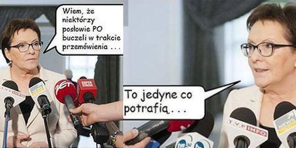 Fot. Facebook/Człowiek Bóbr