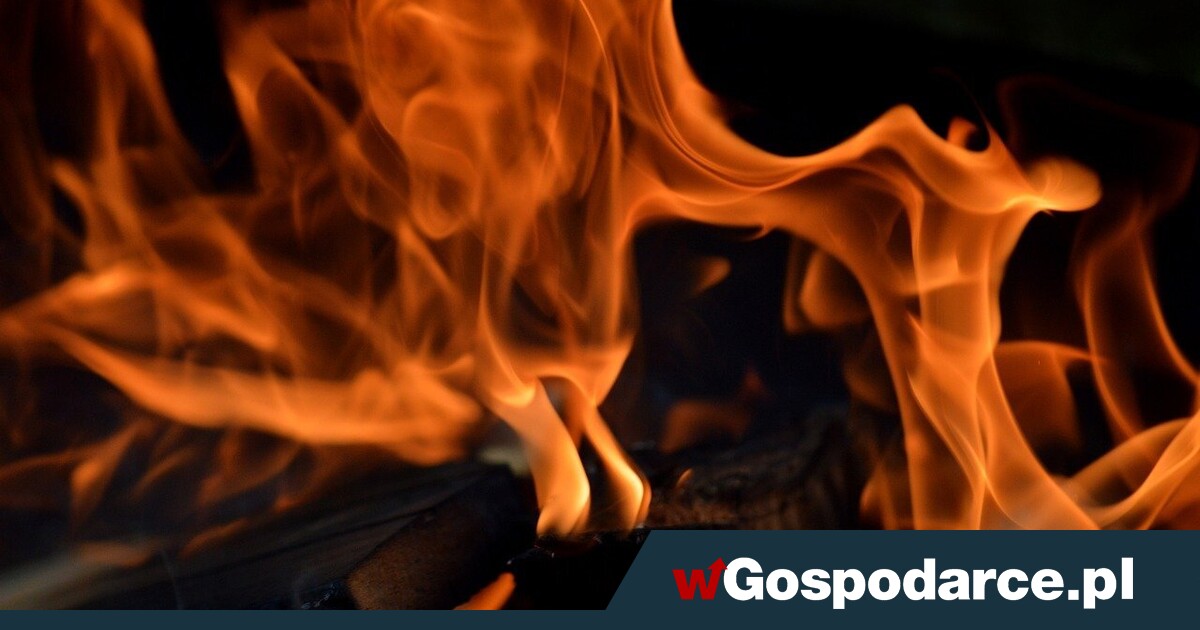 Jaki jest najdroższy opał na świecie?