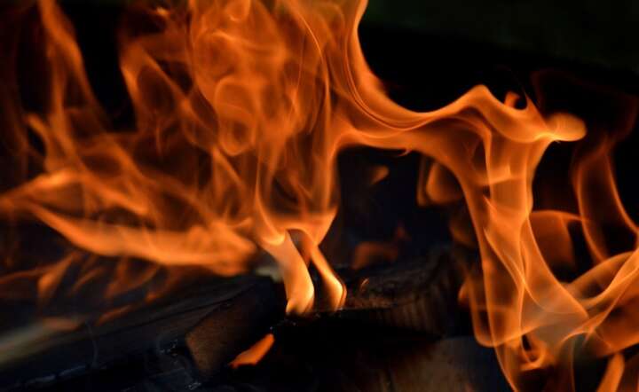 Optymalne źródło opału to sezonowane drewno z drzew liściastych / autor: Pixabay