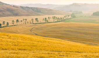 Italia kusi zniżkami