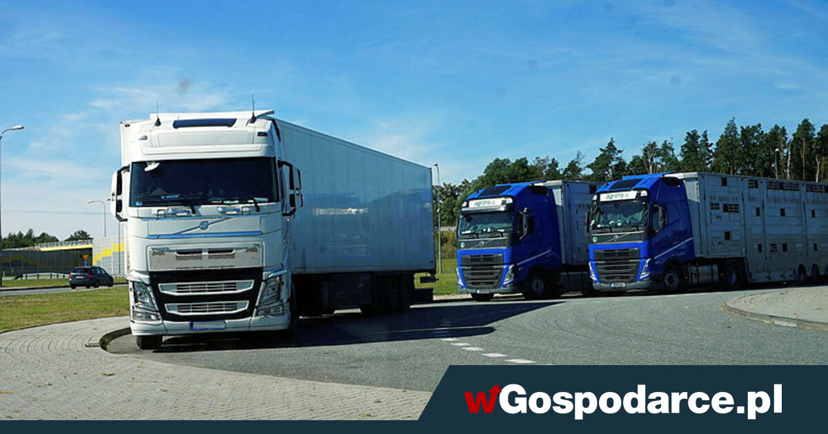 Polski lider Europy upada!