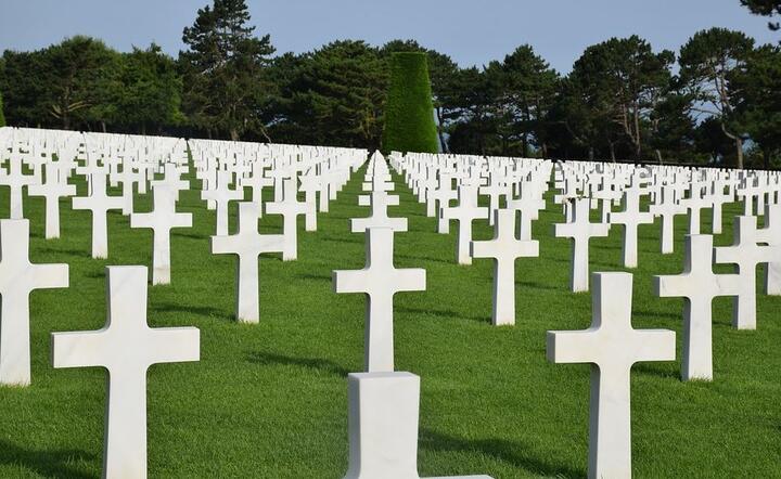Cmentarz wojenny we Francji / autor: Pixabay