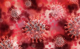 Koronawirus: Najgroźniejsze trzy warianty