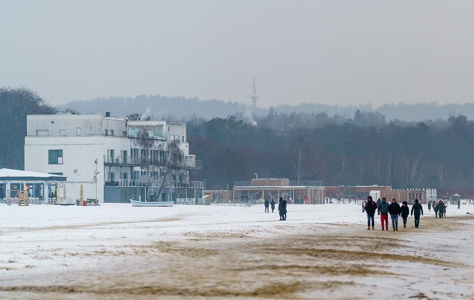 Pies tropiący w Zatoce Sztuki. Trwają czynności procesowe