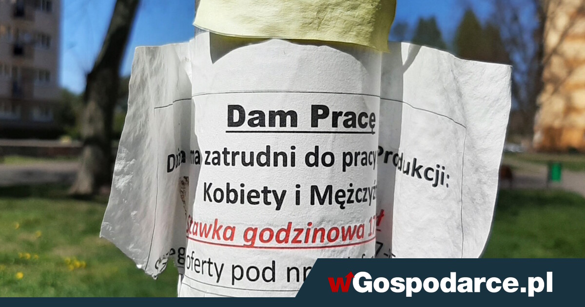 Tąpnięcie na rynku pracy. Chodzi o liczbę wakatów