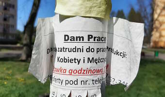 Tąpnięcie na rynku pracy. Chodzi o liczbę wakatów