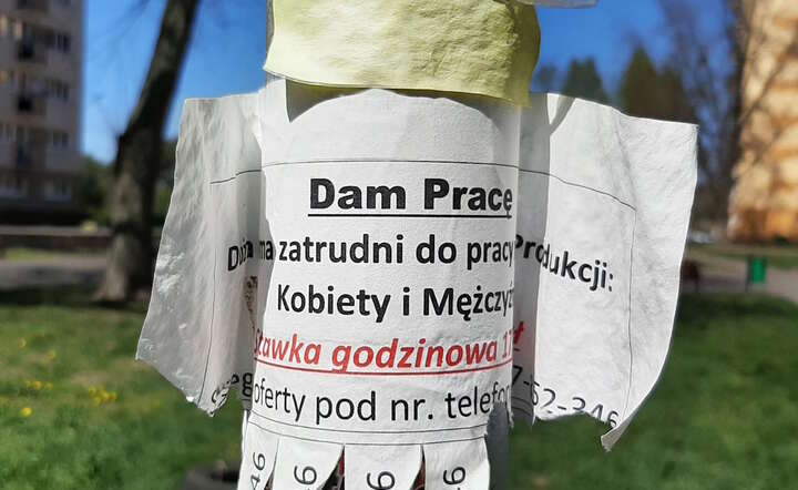 Spadek liczby ogłoszeń o pracę. Jednorazowo? Nie / autor: Fratria