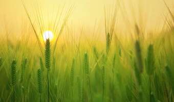 Minister: Człowiek może pomóc naturze