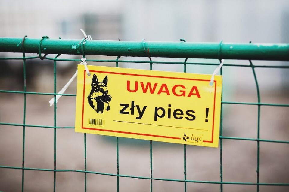 zdjęcie ilustracyjne / autor: Pixabay