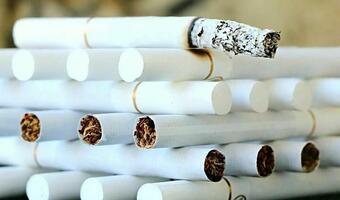 BBGTAX: Mała szara strefa tytoniowa - efekt akcyzy i działań służb